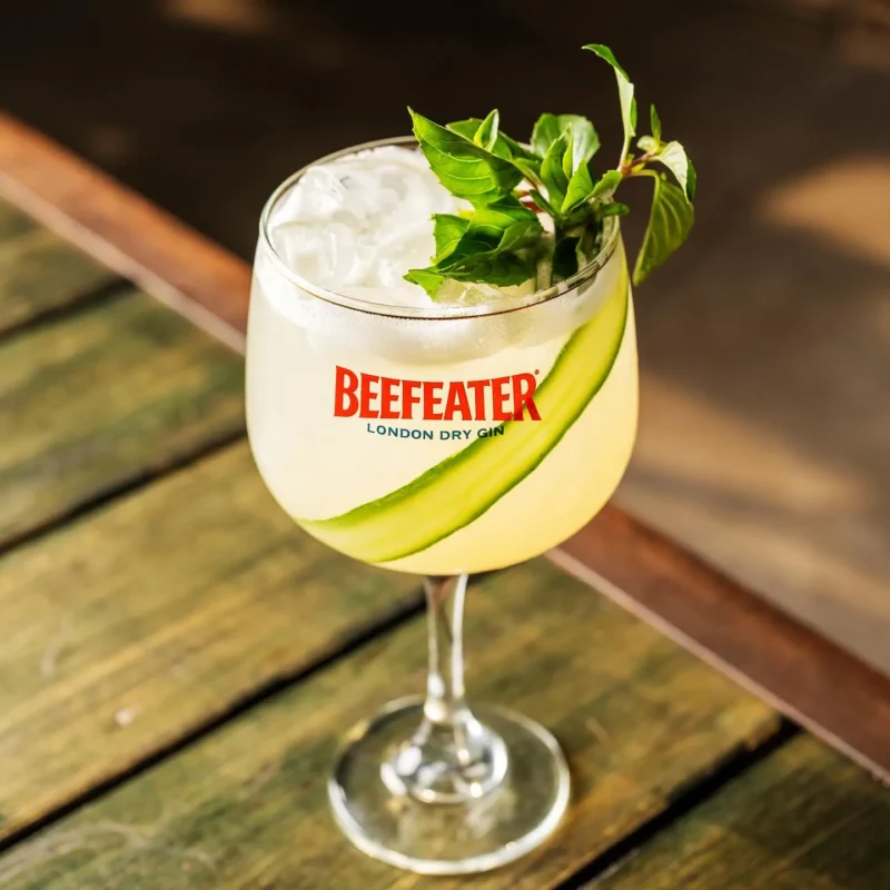 Gin Ecológico: gin, uma fatia de pepino, folhas de manjericão, suco de abacaxi, suco de limão verde e club soda.